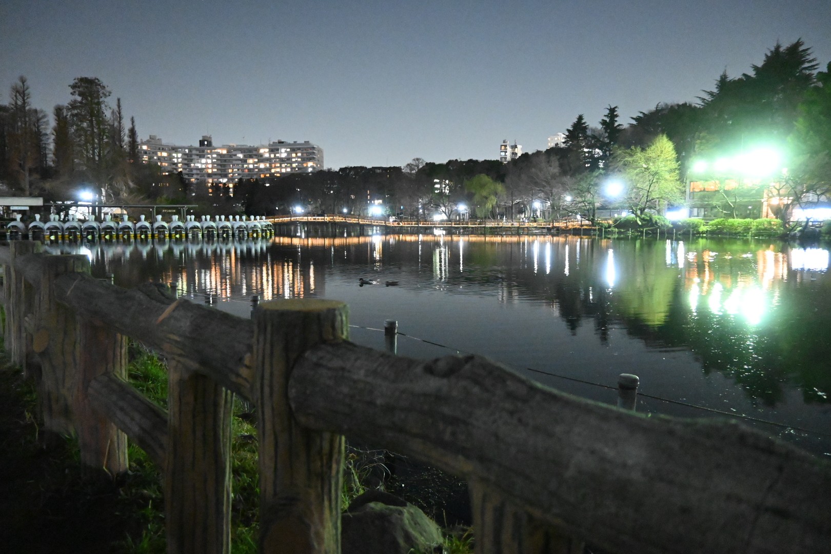 井の頭公園夜散歩 何となく写真撮りたく Gt2 0さんのモーメント Yamap ヤマップ