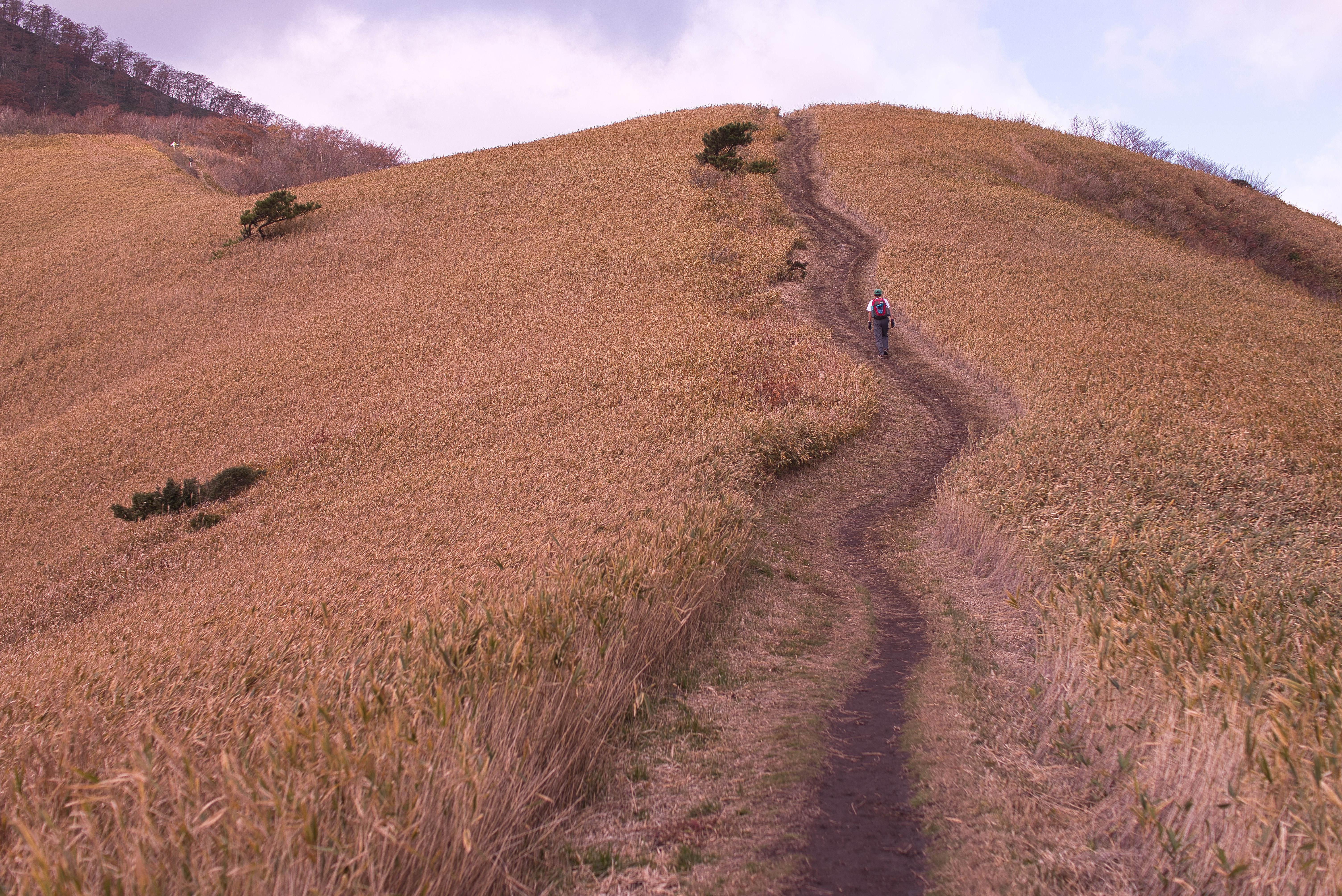 紅葉も兼ねて蒜山 三座を縦走しました ライフさんの蒜山の活動データ Yamap ヤマップ