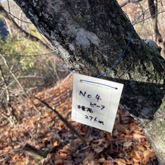 各務原アルプス（関南アルプス）・八木三山 第四ピーク