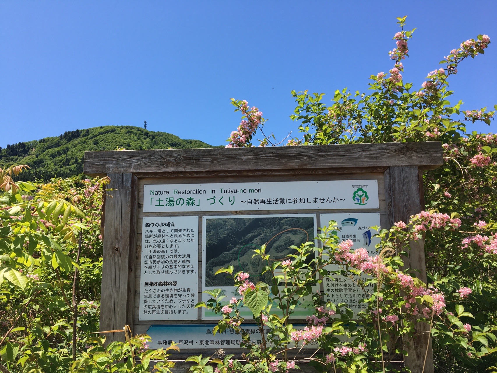 土湯山 林道歩きパート2 Woodさんの土湯山の活動データ Yamap ヤマップ