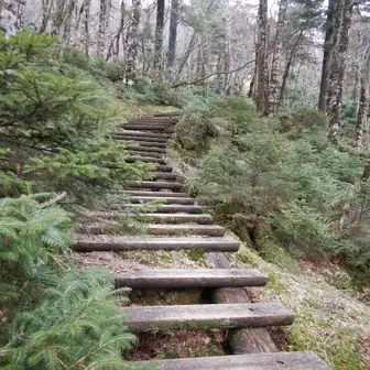ここからは大好きな弥山階段。
ここの階段は私のリズムにピッタリ。疲れるけど、最高に登り易い階段です。