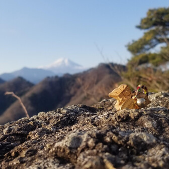 わんうぇいウッド