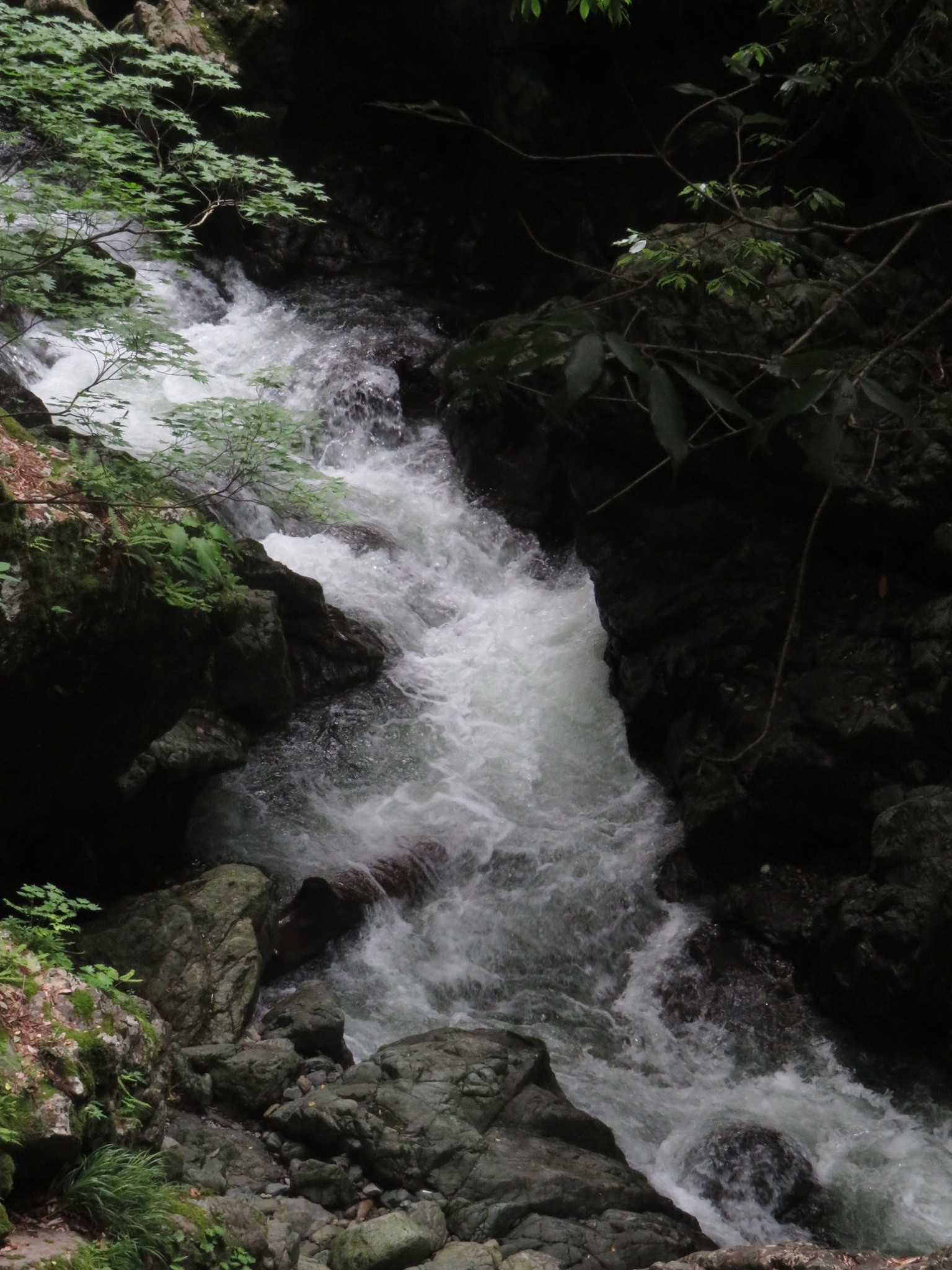 木六山・銀次郎山 壺滝