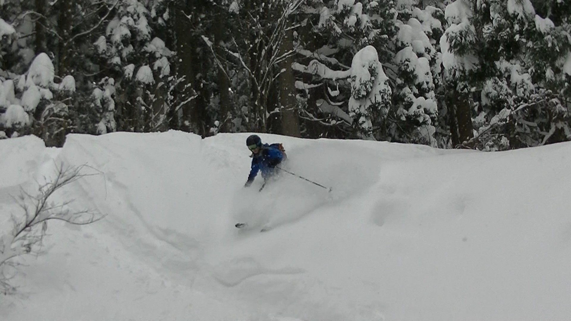 護摩堂峠 山スキー Ichiさんの取立山の活動データ Yamap ヤマップ