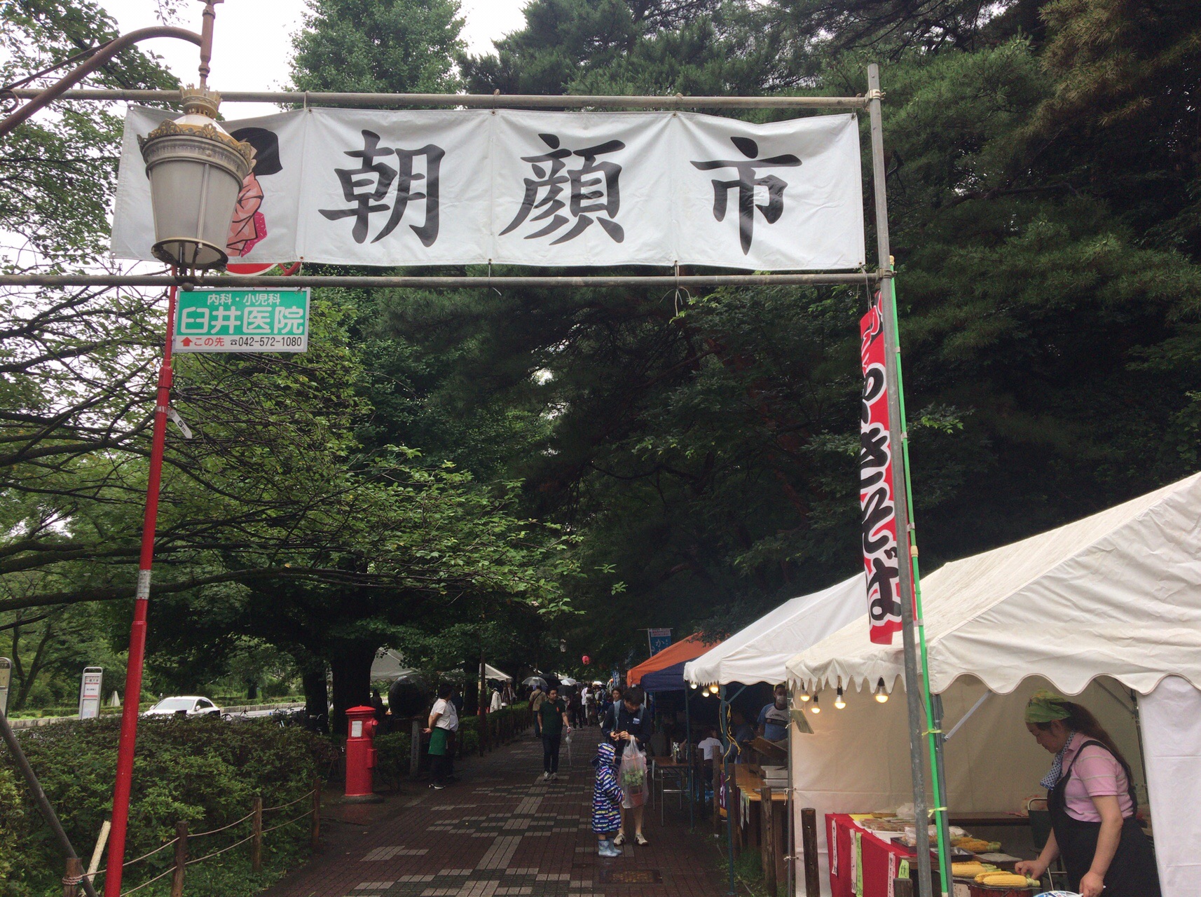 東京都国立市 くにたち朝顔市 エル丸さんの北多摩の活動日記 Yamap ヤマップ