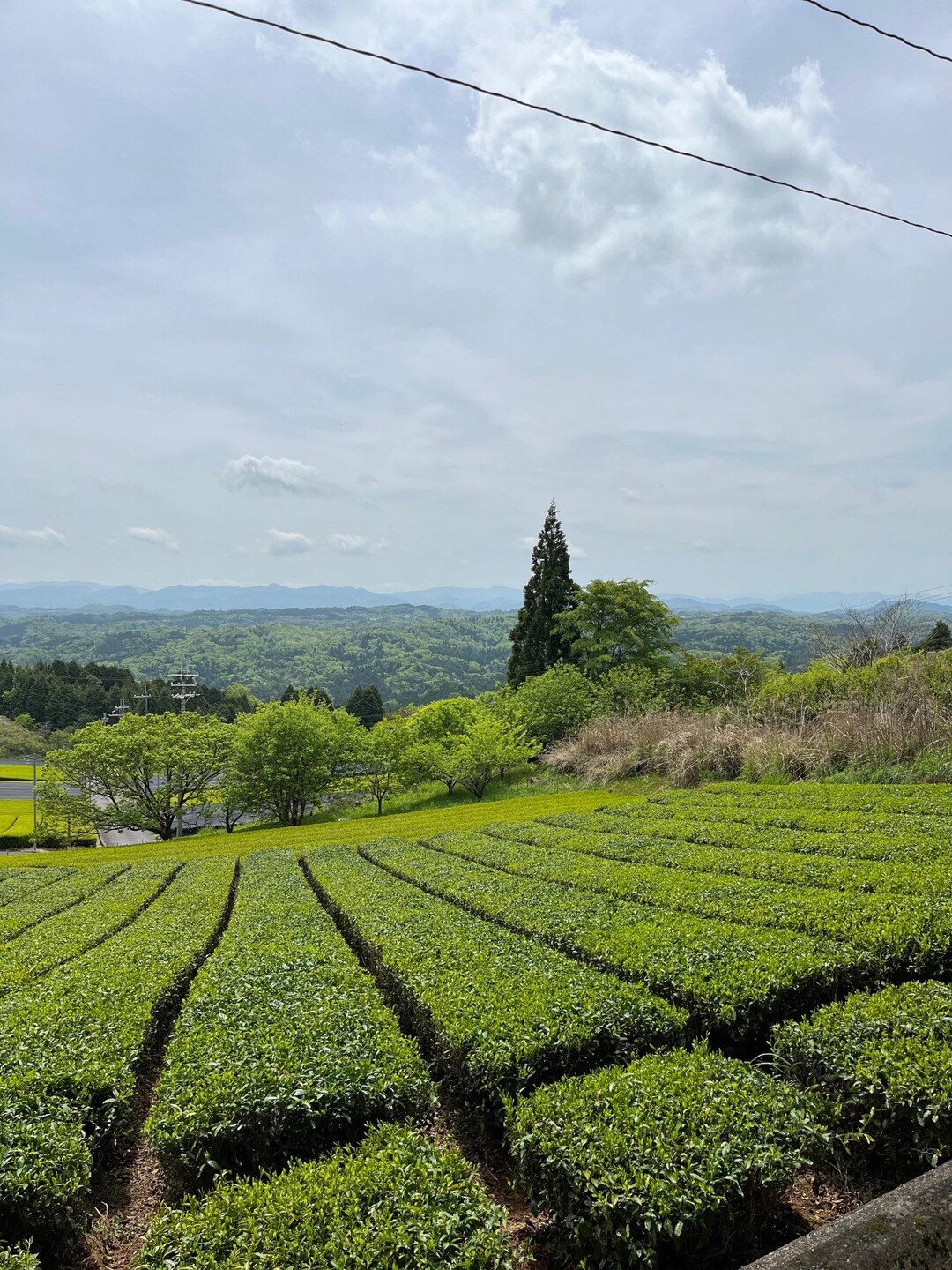 神野山 / 1173さんの神野山の活動データ YAMAP / ヤマップ
