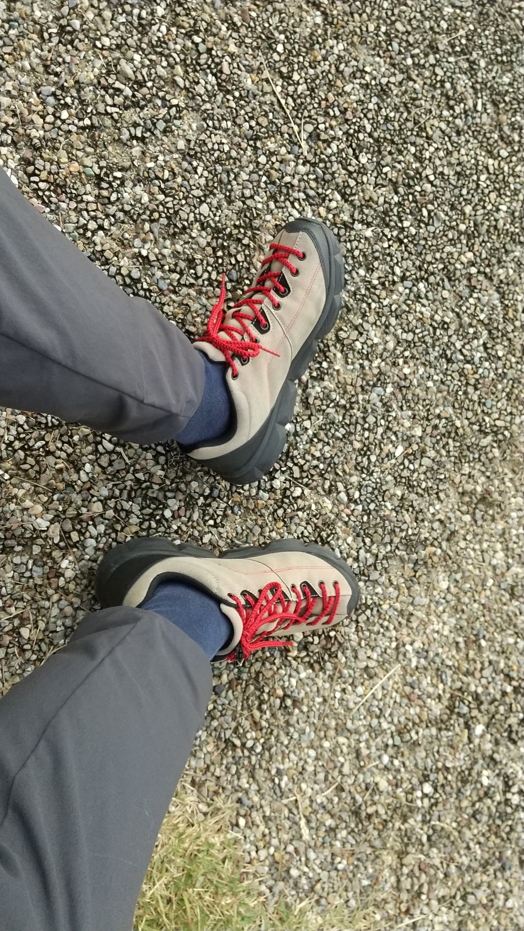 オフトレ第63回 決算ノルマ達成 数字あわせの遠見山 てんからたろうさんの五井山 宮路山 御堂山の活動日記 Yamap ヤマップ