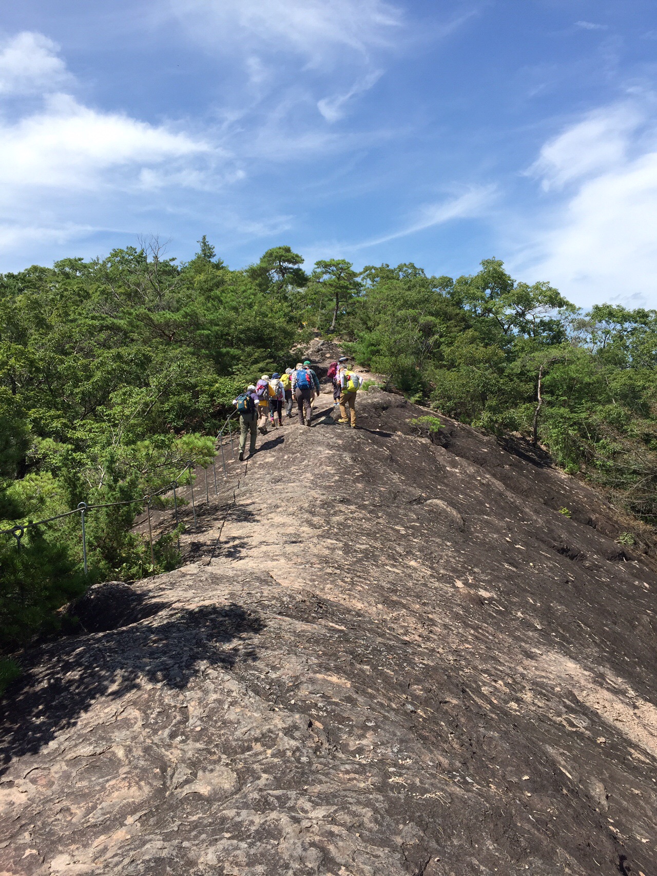 20200801宝塚西谷の森公園より布見竜王山、布見ヶ岳、馬の背から夢プラザへ / Tamisakさんの登山の活動データ YAMAP