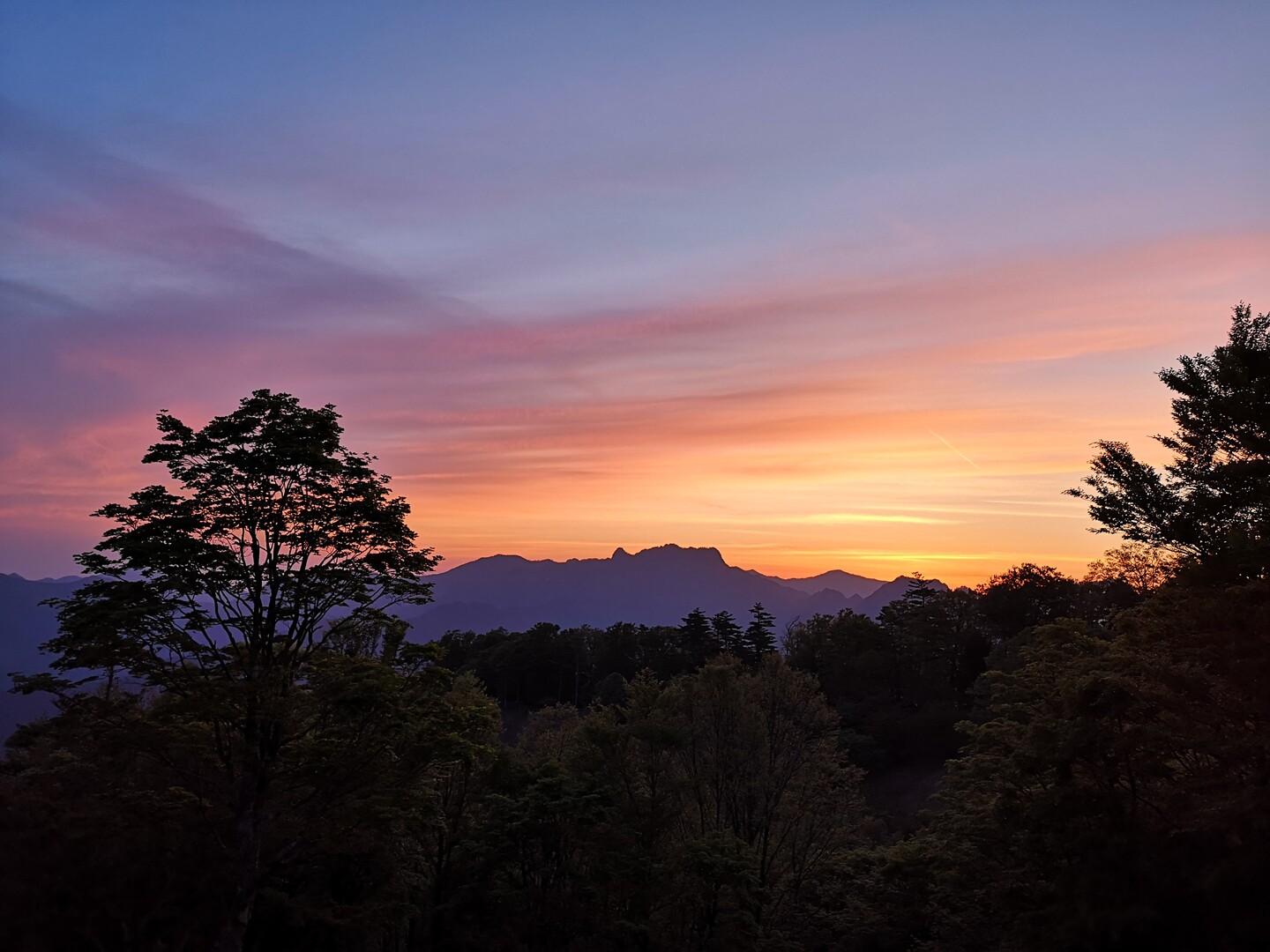 ゆるゆるテント泊 天女の舞 Redsさんの八経ヶ岳の活動データ Yamap ヤマップ