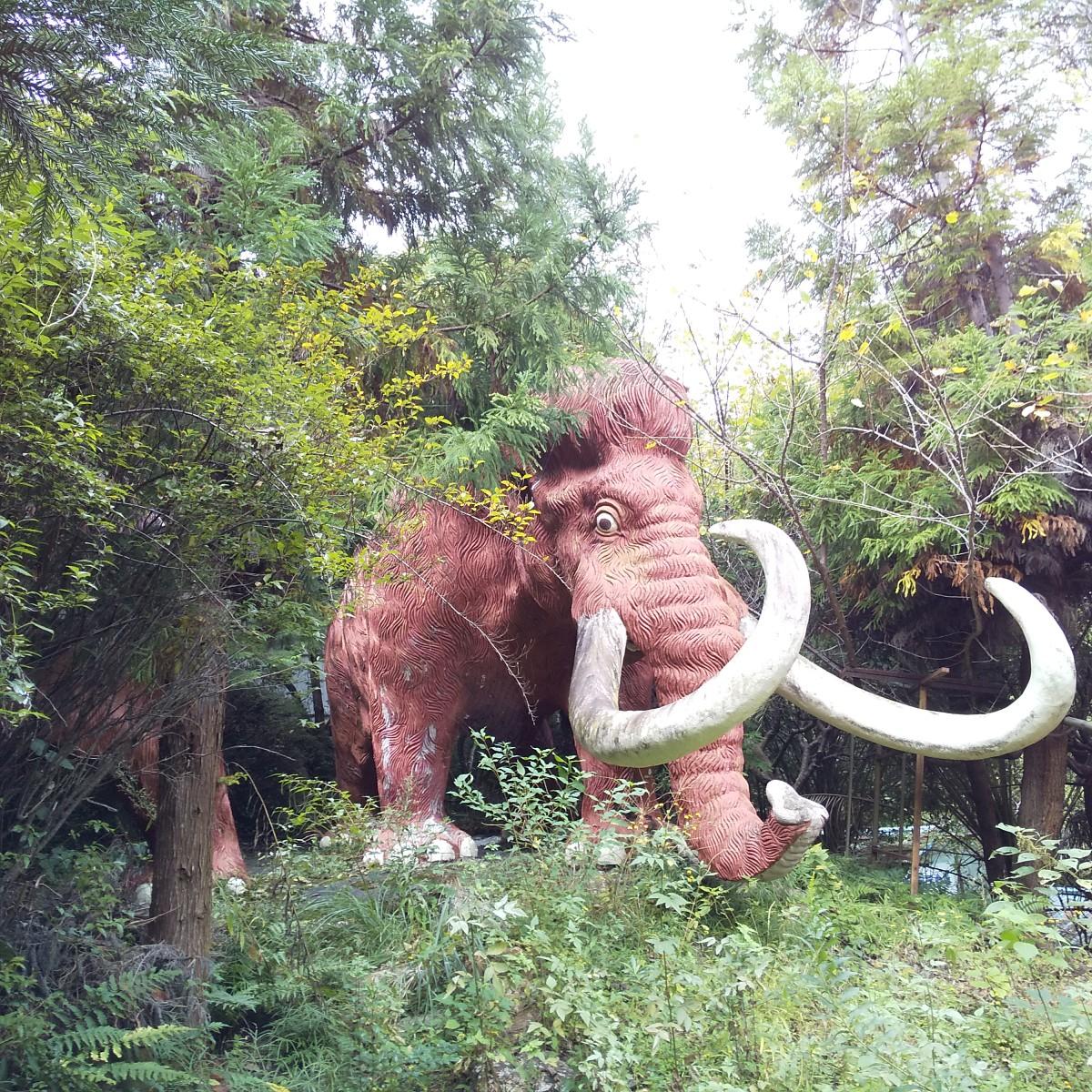 尉ヶ峰 ㅎ ㅎ Onepieceのジャック らふてるさんの富幕山 尉ヶ峰 竜ヶ石山の活動データ Yamap ヤマップ