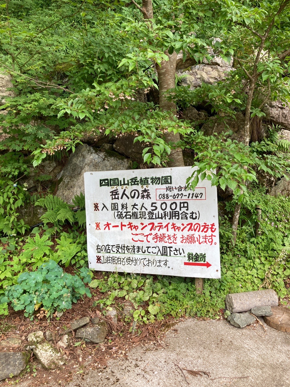 岳人の森ウォーキング ちゃっぴぃさんのウォーキングの活動データ Yamap ヤマップ