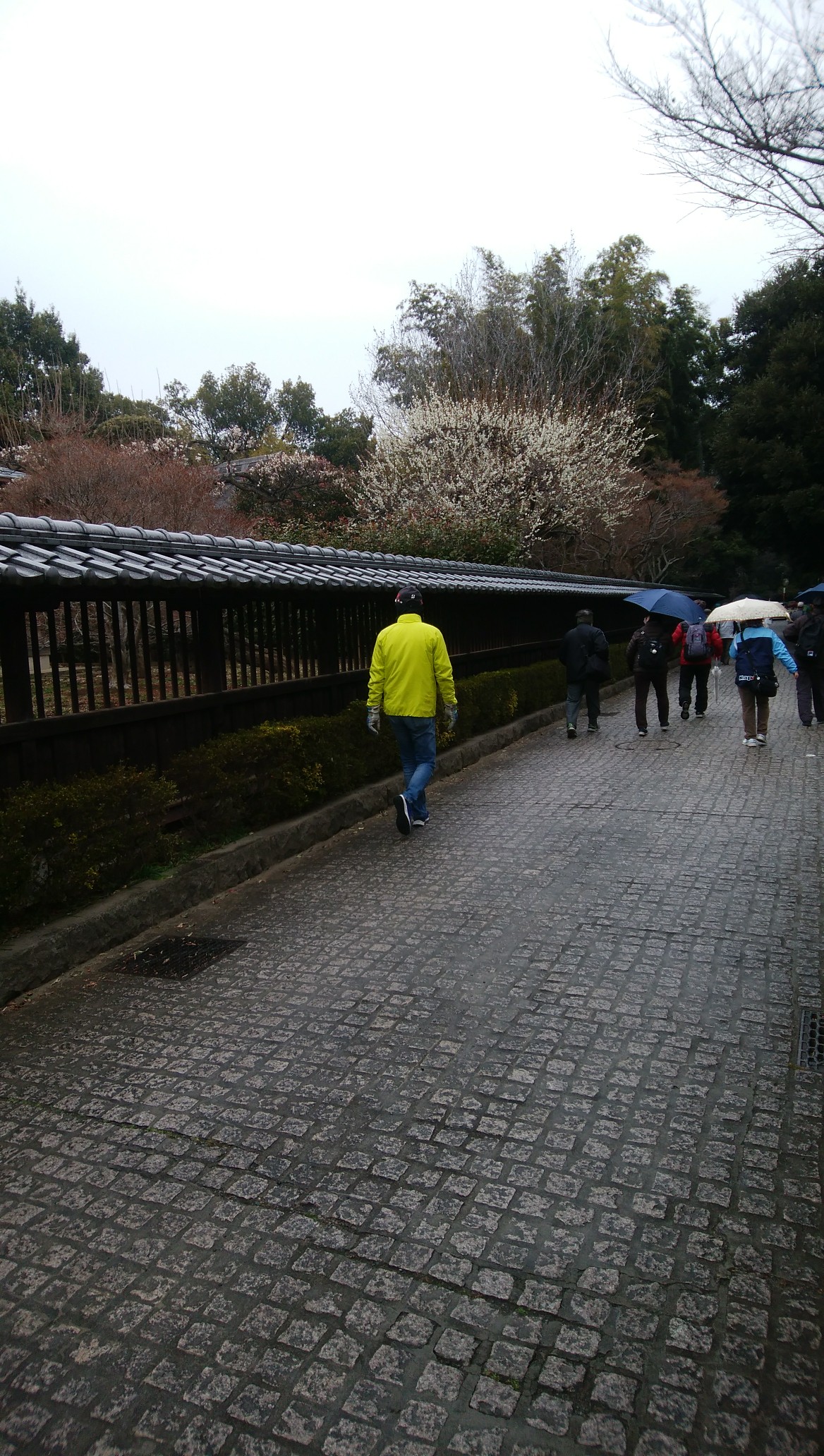 歩け歩け運動に参加 古河駅から 小山のやまちゃんさんの古河市の活動データ Yamap ヤマップ