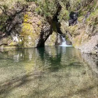 水木にある泉神社の泉が森に湧き出しているという伝説がある亀ヶ淵✨