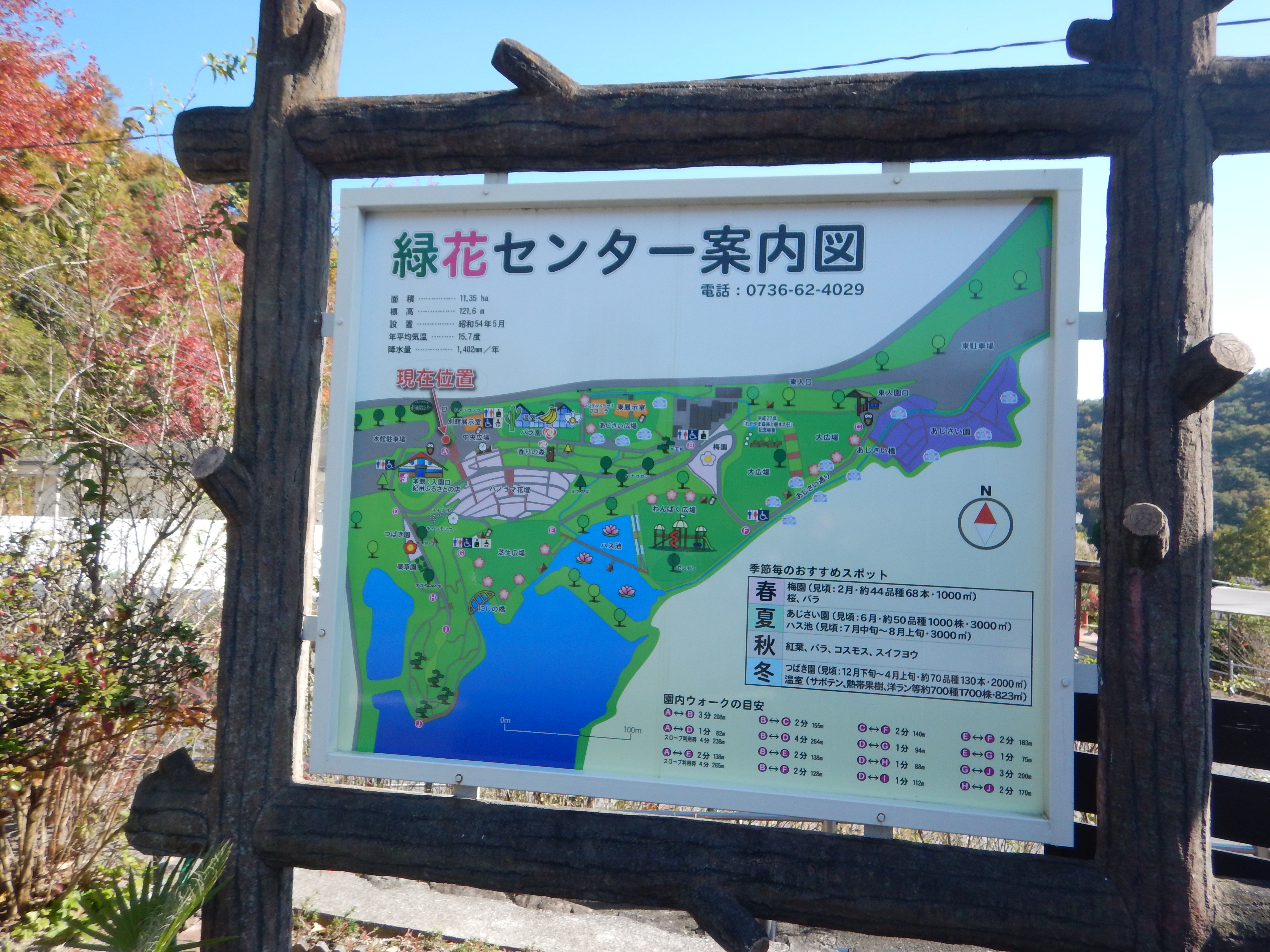 自宅から和歌山県植物公園 緑花センターまでサイクリング なかむらさんの和歌山市の活動日記 Yamap ヤマップ