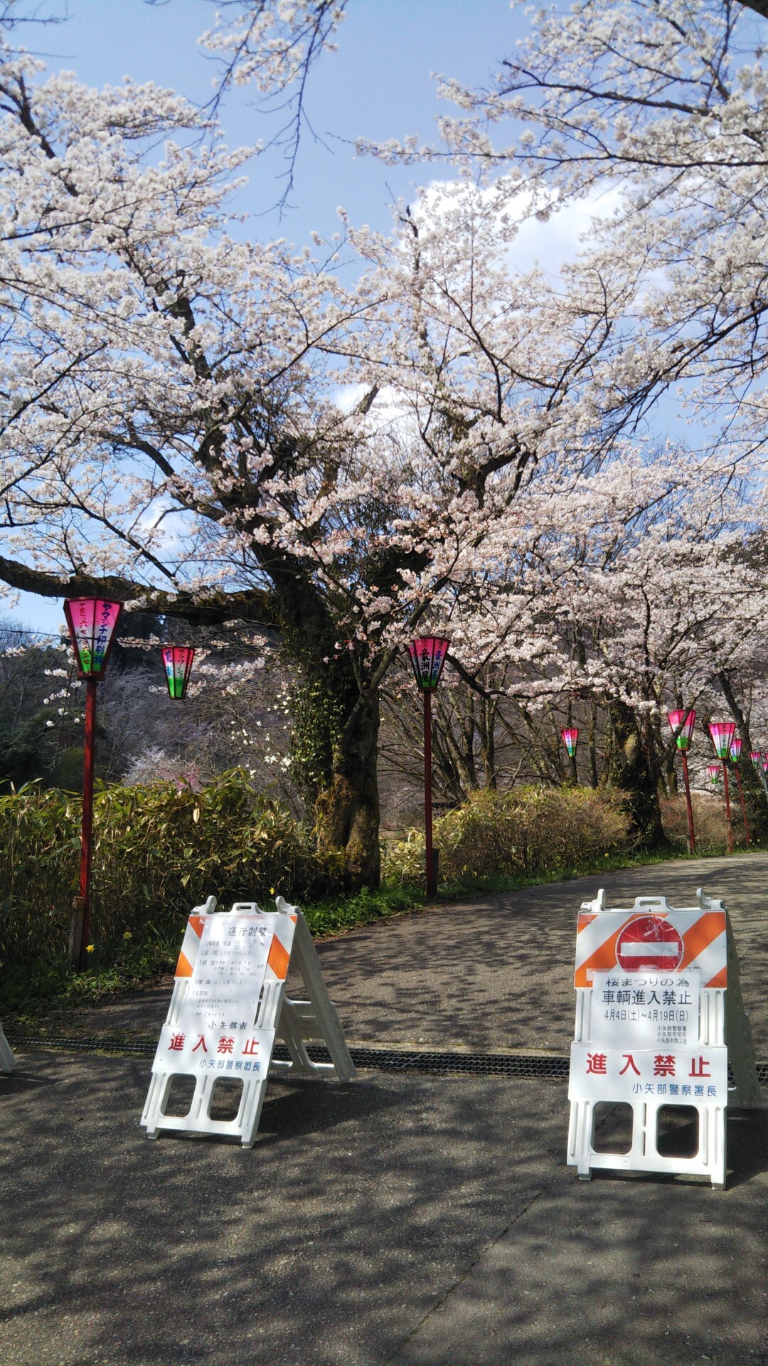 城山 今石動城跡 M Tさんの小矢部市の活動日記 Yamap ヤマップ
