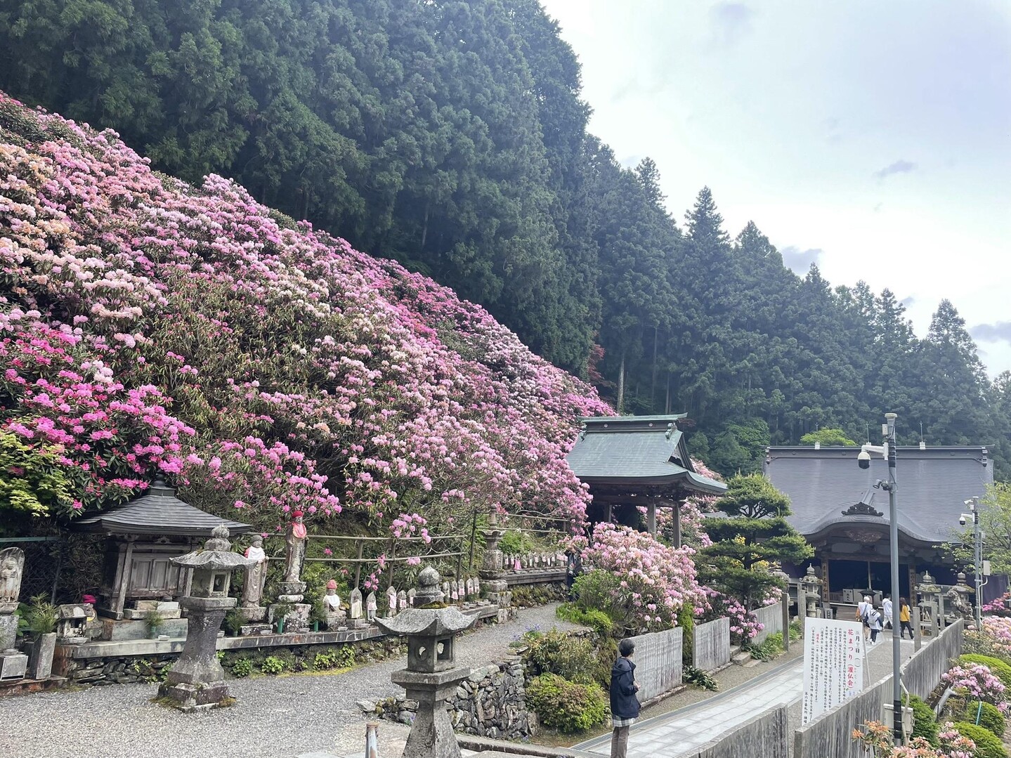 今回のお遍路旅最終日。 横峰寺へは、 バ... / うみ12さんのモーメント YAMAP / ヤマップ