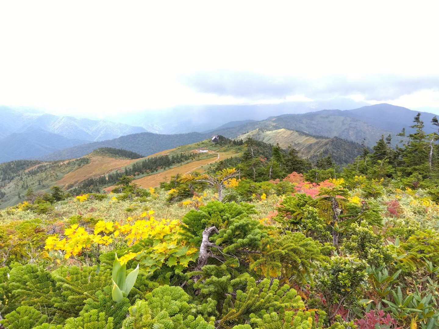 会津駒ヶ岳 / あるえさんの会津駒ヶ岳の活動データ YAMAP / ヤマップ