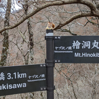YMAPのヤブ沢ノ頭
こちらが正解なような。。。