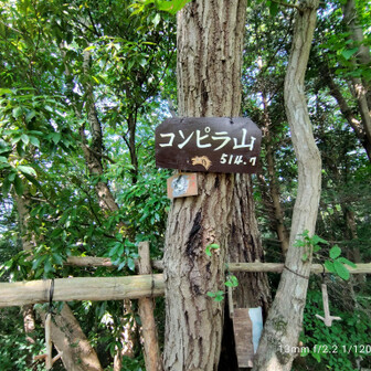 コンプラ山、あっ、ウソウソ。
