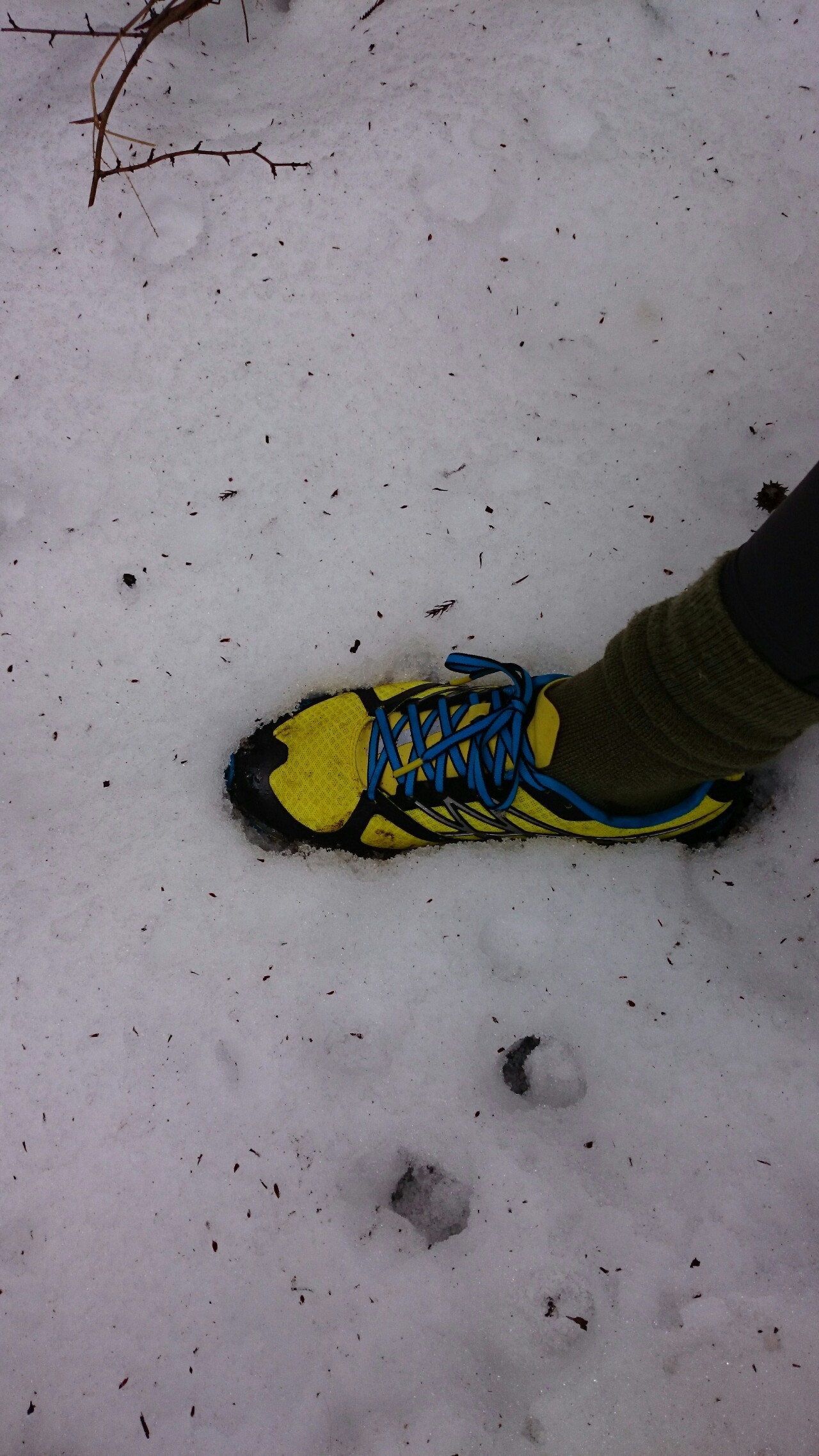 宇都宮 篠井連峰へｇｏ こどもの森公園ｐ 男山 本山 飯盛山 高舘山 黒戸山 こどもの森公園ｐ たけさんの古賀志山 赤岩山 鞍掛山 男抱山 半蔵山の活動データ Yamap ヤマップ