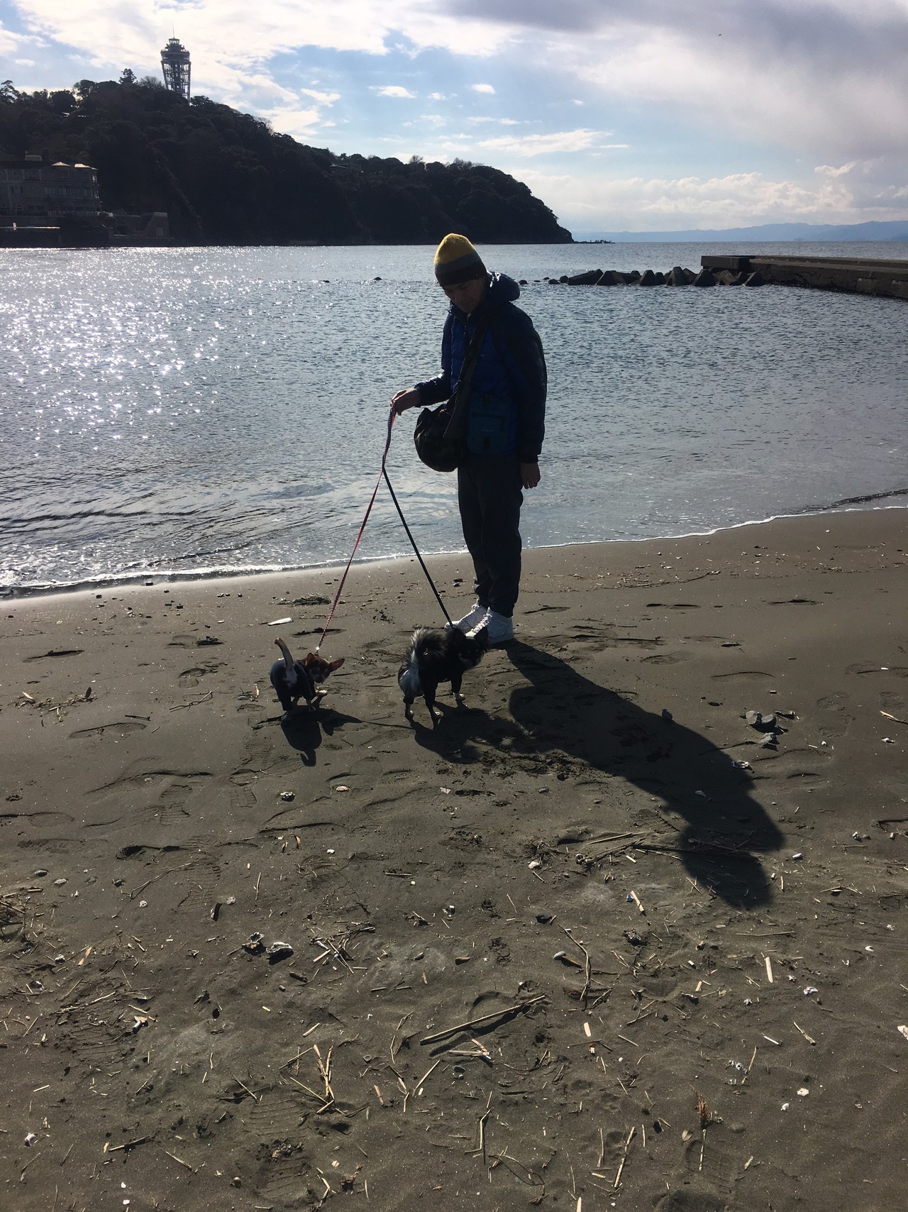 江ノ島と周辺散歩 かずやんさんの江の島の活動データ Yamap ヤマップ