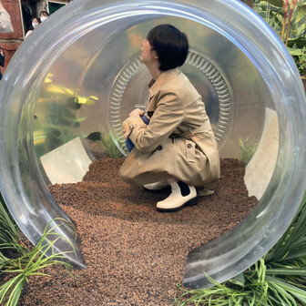 やぶさか3