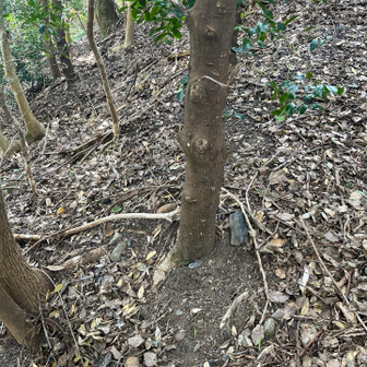 飯塚市 この土は何処から来たのかな？
