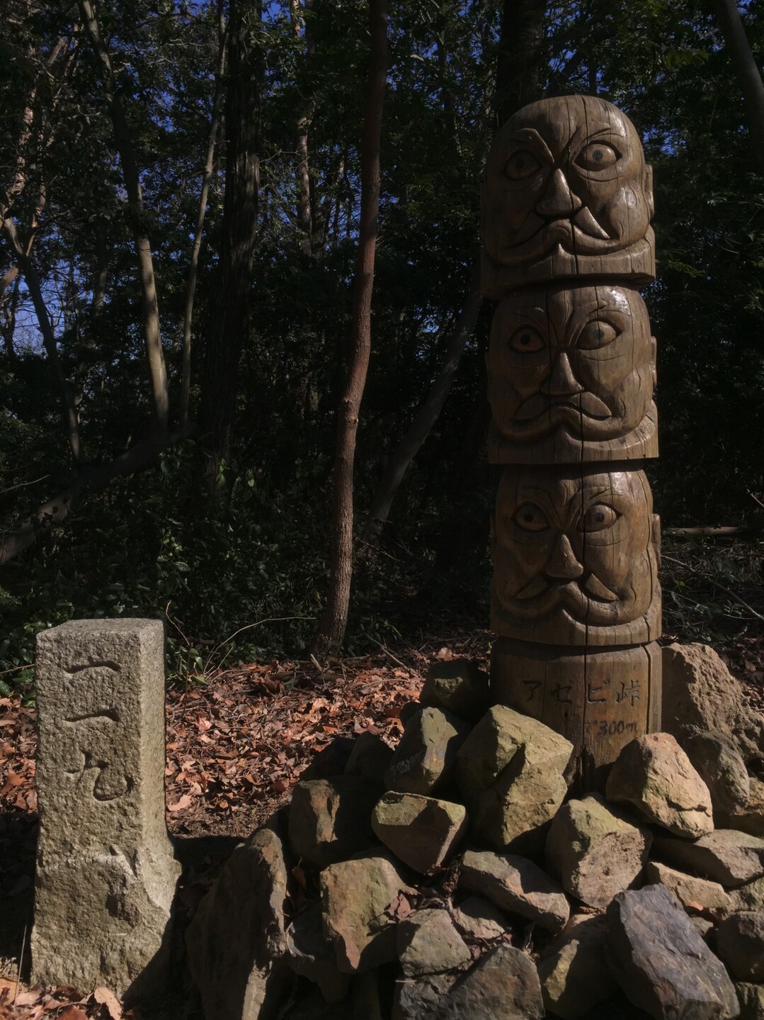 古代のロマンを感じに のんびりハイキング 竜王山 阿武山の写真45枚目 アセビ峠と書かれた所もトウテムポール Yamap ヤマップ
