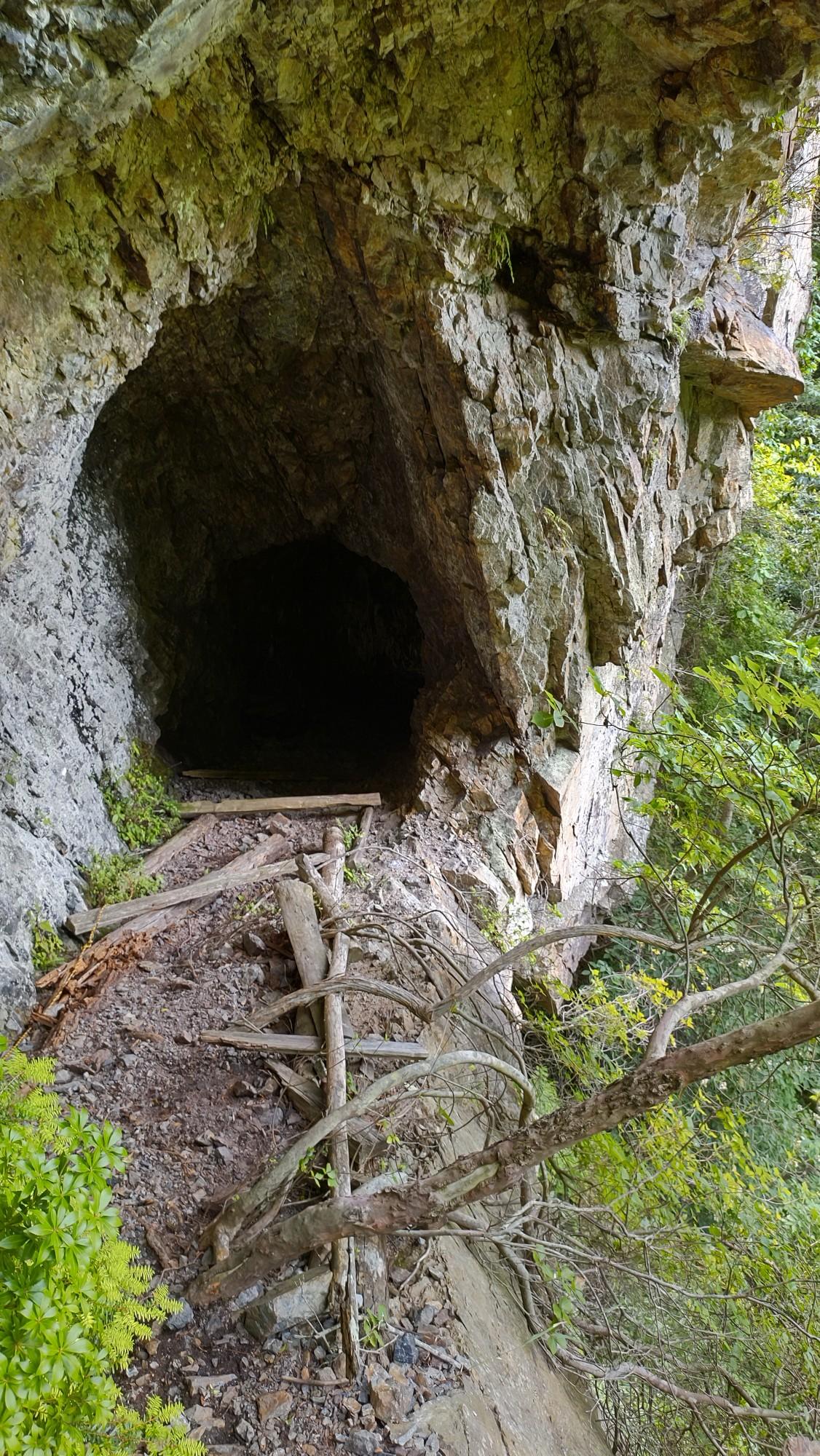 大鯛木馬道を歩く20230715 / こばやしあにさんの白鬚岳の活動データ YAMAP / ヤマップ
