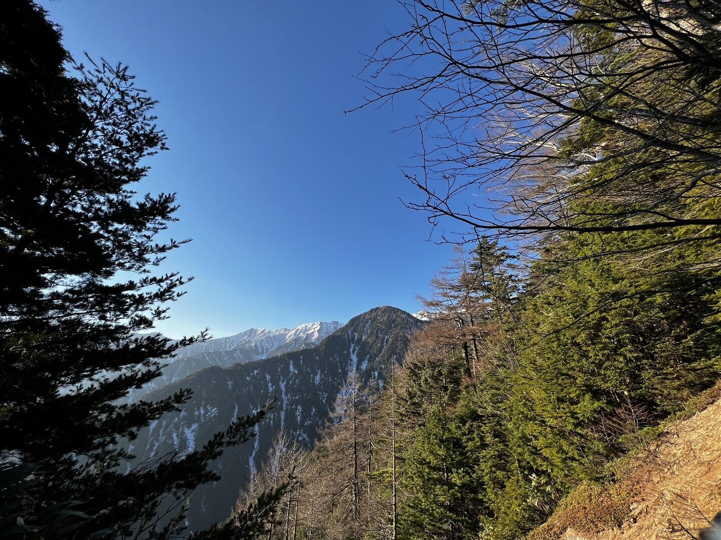 森林限界を越えるまでの間にたまに木々の間... / 玄哲さんのモーメント YAMAP / ヤマップ