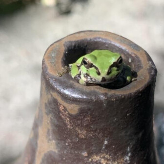 みえのページ YAMAP / ヤマップ