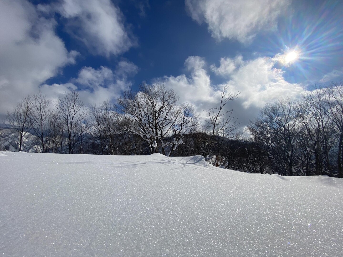 白山セイモアスキー場 山頂 / みゆまおさんの白山・別山・銚子ヶ峰の活動データ YAMAP / ヤマップ