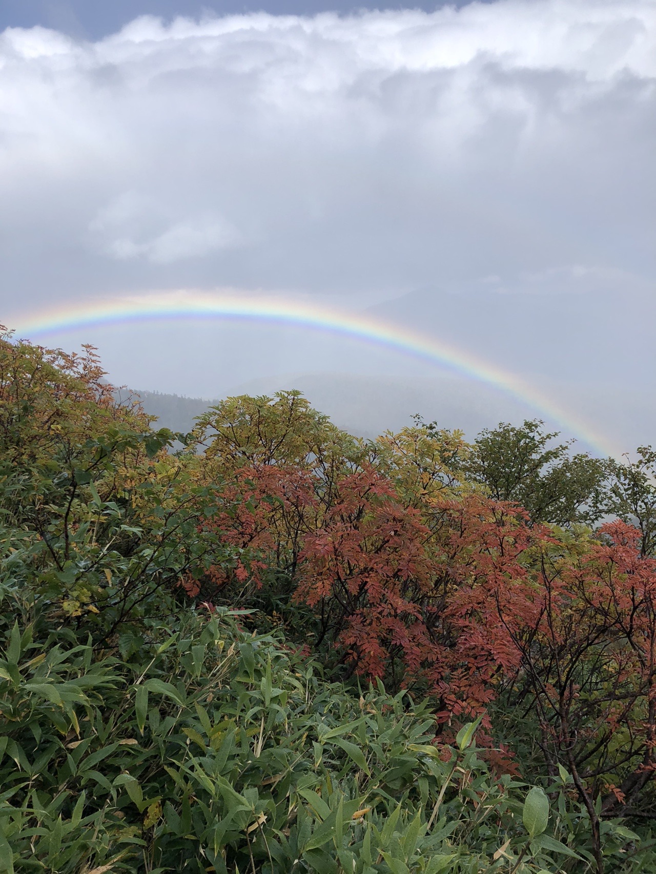 紅葉と虹の赤岳 かにごろさんの大雪山系 旭岳 トムラウシの活動データ Yamap ヤマップ