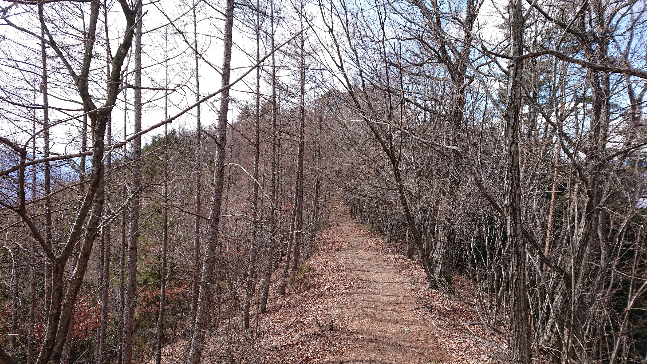 柏尾山 甲州高尾山 往復コースの地図 登山ルート 登山口情報 Yamap ヤマップ