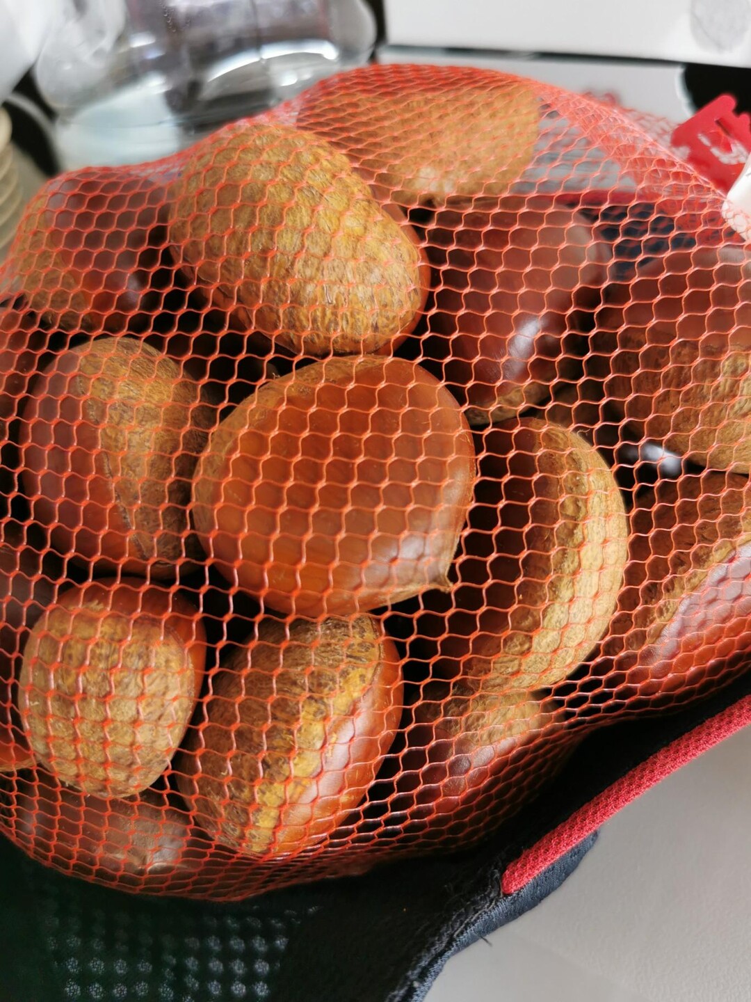 郵便局に寄り道したら、栗を発見😆 まろ... / まろんさんのモーメント YAMAP / ヤマップ