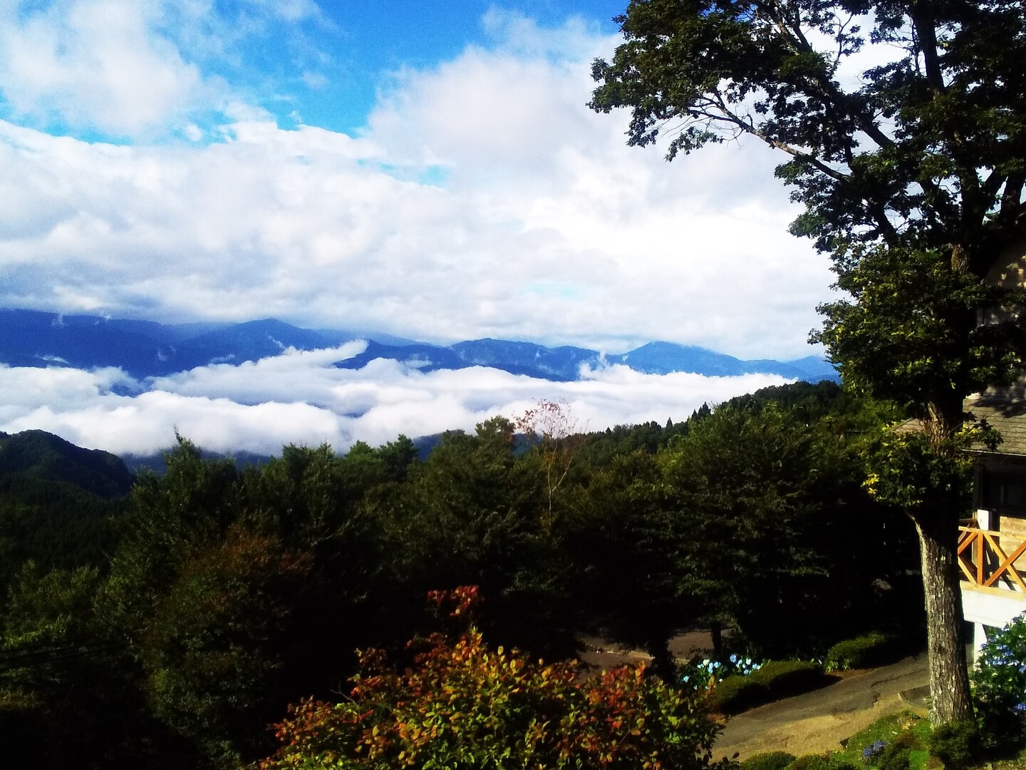 大川山 / マネジャさんの竜王山（讃岐山脈）・大川山の活動データ YAMAP / ヤマップ