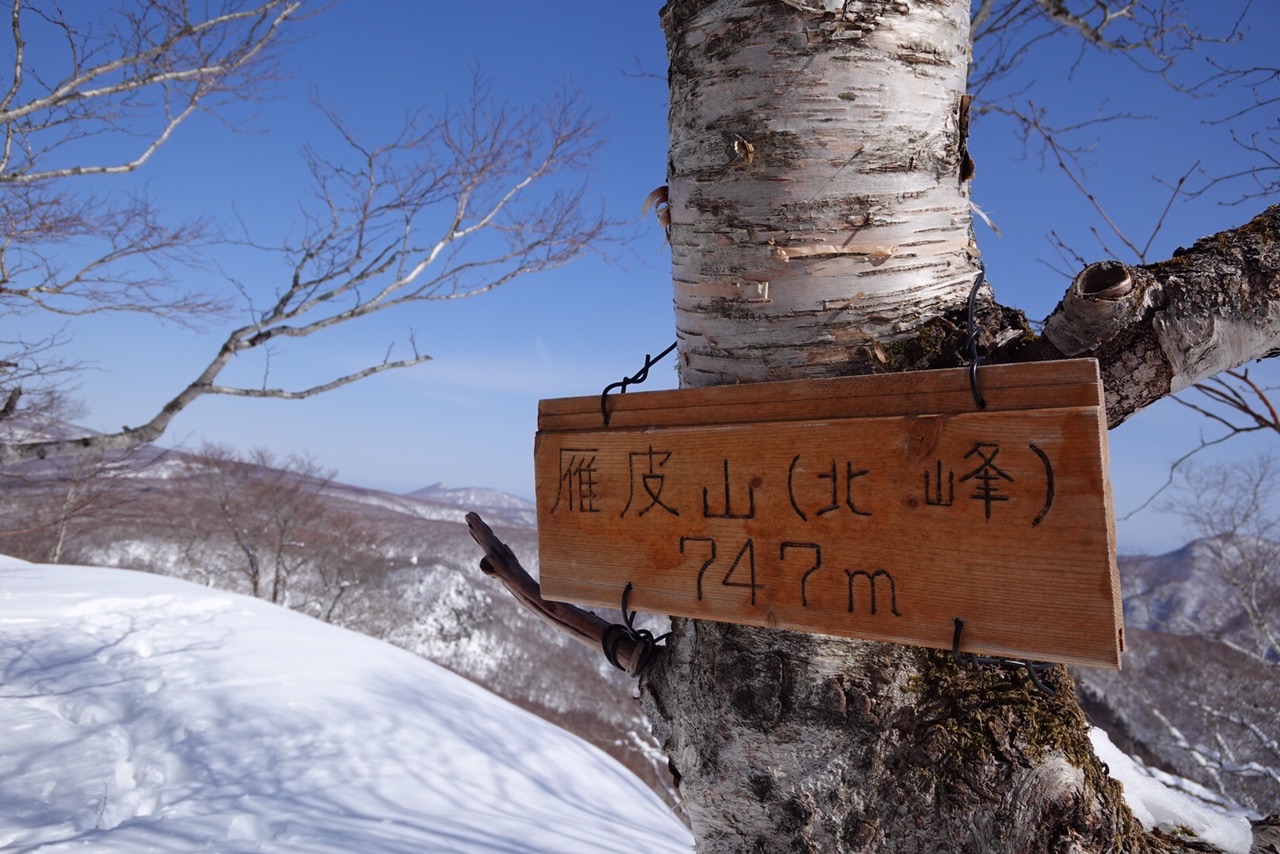 D To D Mission Complete 雁皮山北峰とぽこたち 秋海棠さんの蝦夷松山 雁皮山の活動日記 Yamap ヤマップ