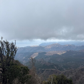 天城山・鉢ノ山・三筋山 雲が厚い