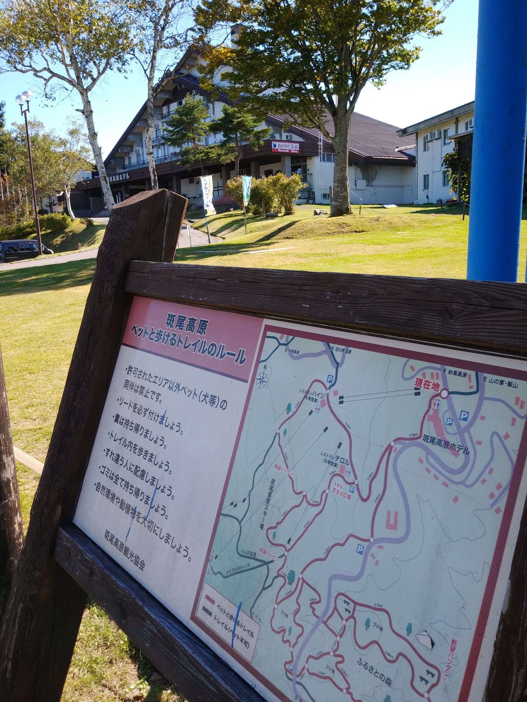 斑尾山 大明神岳 かえでの木トレイル Ichiroさんの斑尾山 信越トレイル 斑尾山 赤池 希望湖 の活動日記 Yamap ヤマップ