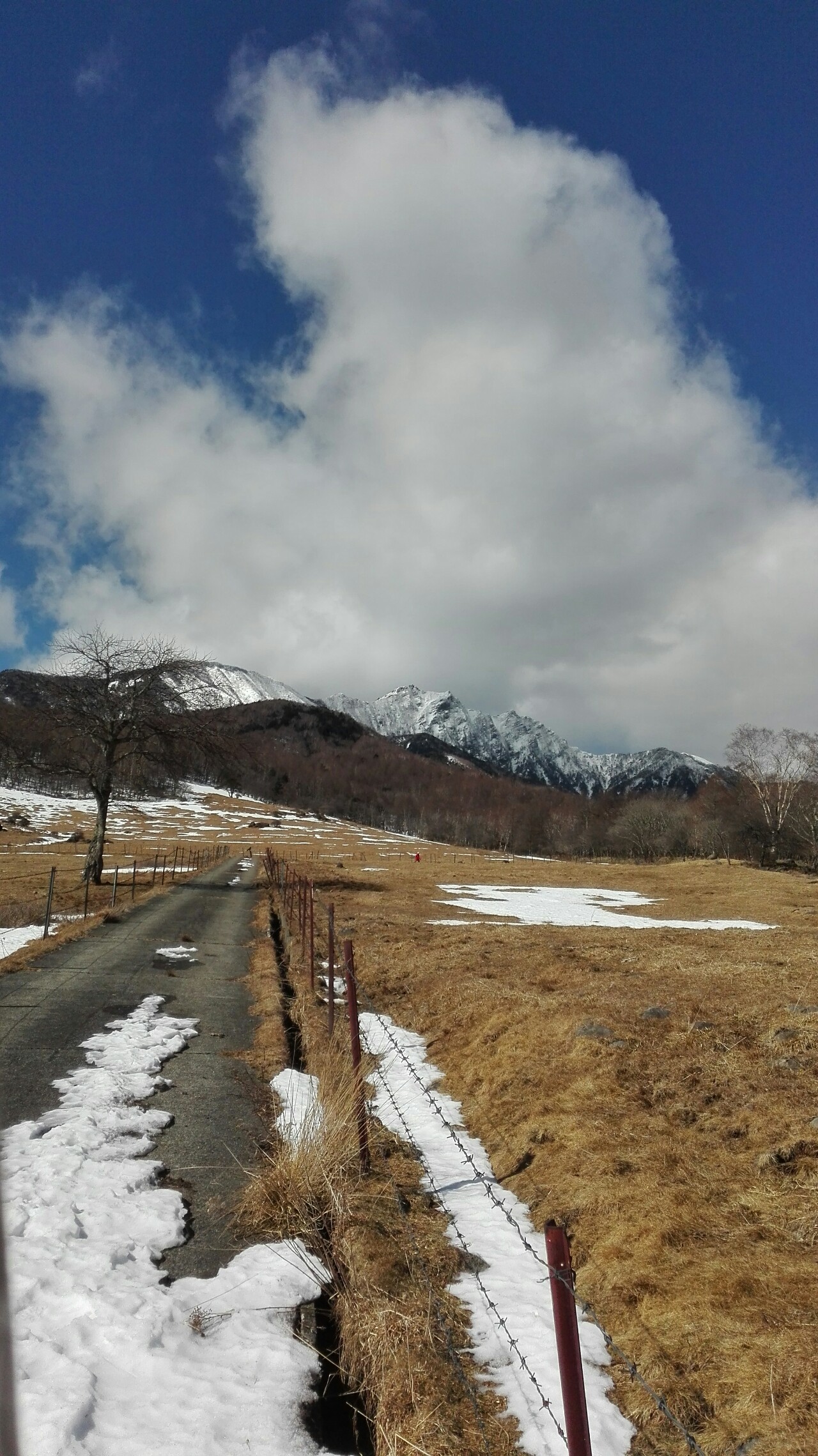八ヶ岳横断歩道ミニハイク 東沢大橋 県営八ヶ岳牧場 県営まきば公園 けい さんの八ヶ岳 赤岳 硫黄岳 天狗岳 の活動データ Yamap ヤマップ