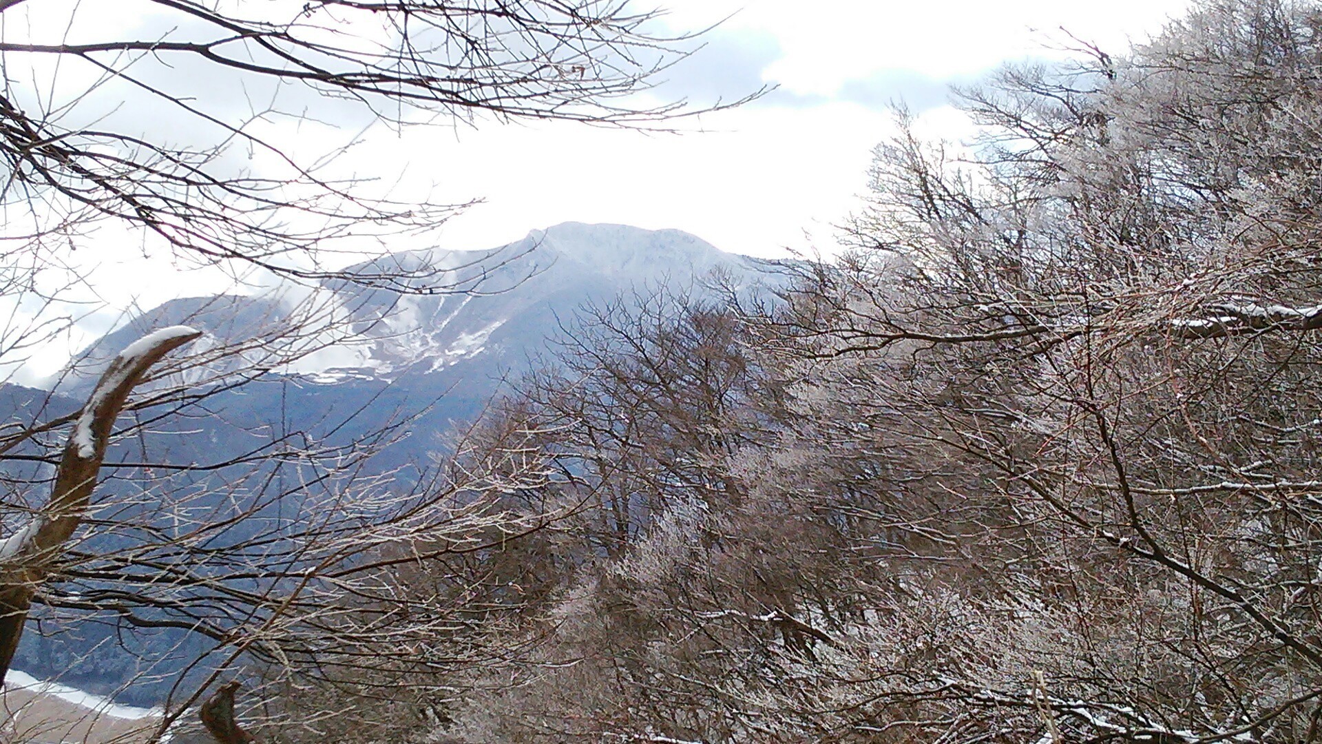 乙女峠から丸岳 芦ノ湖展望公園へ 富士は見えねど展望コース マンディさんの箱根山 神山の活動日記 Yamap ヤマップ