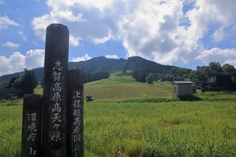 東館山高山植物園 きたしなのさんのウォーキングの活動日記 Yamap ヤマップ