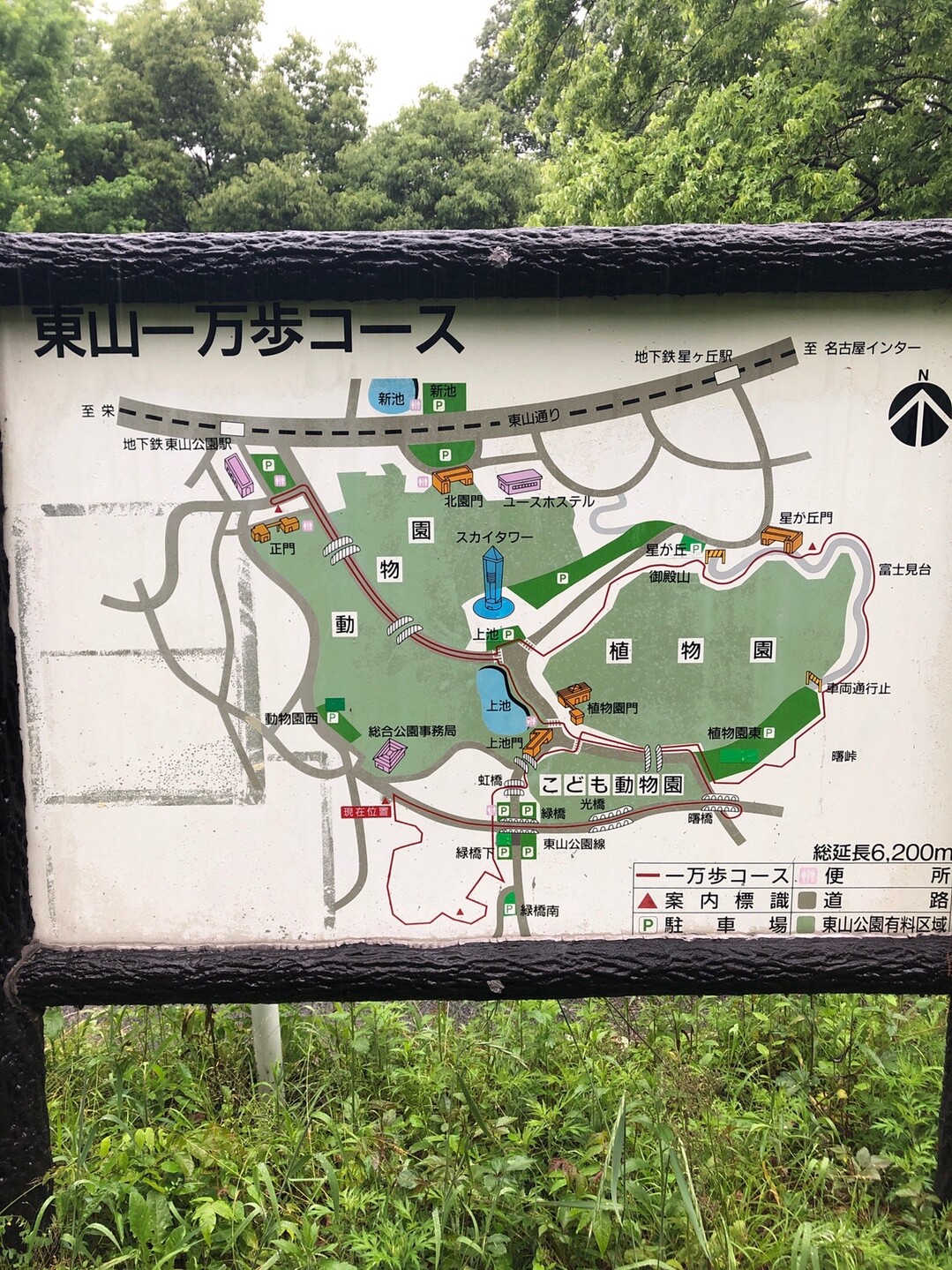 東山1万歩コース てつさんの名古屋市の活動データ Yamap ヤマップ