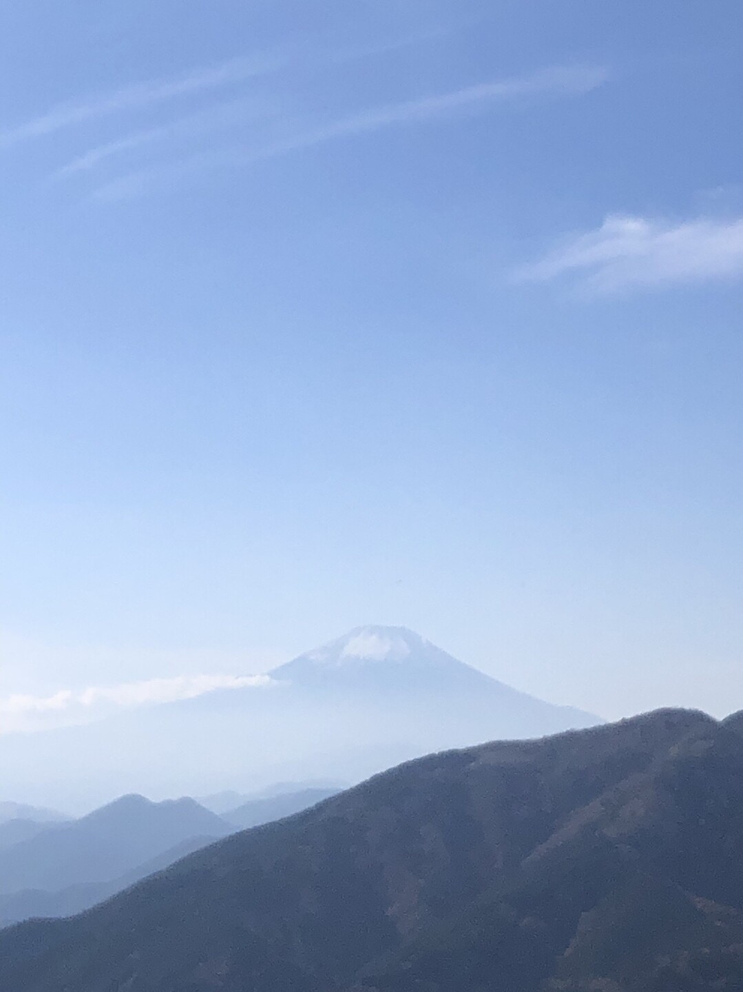 大山（神奈川県）20191117 / ももさんの大山の活動データ YAMAP / ヤマップ