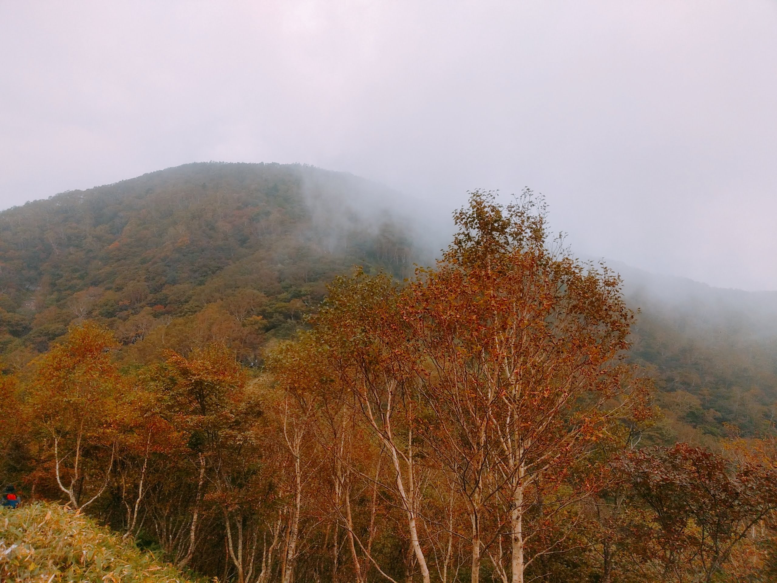 赤城山 ほぼuniqlo装備で秋の赤城山 Su3さんの赤城山 黒檜山 荒山の活動データ Yamap ヤマップ
