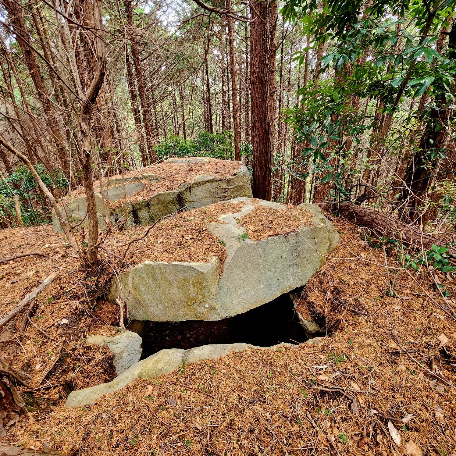 龍王山古墳群』奈良県史跡名勝天然記念物調査報告第68冊