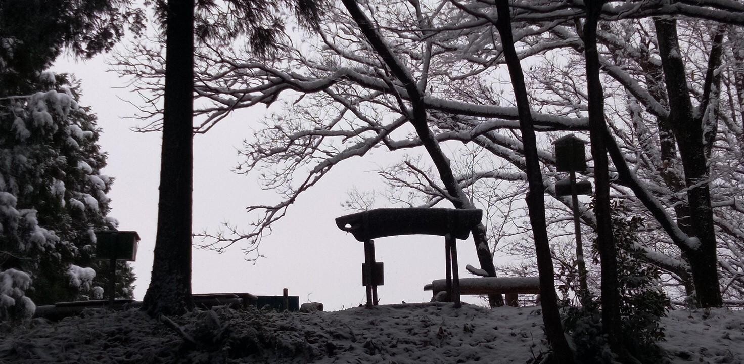 今年初めての乙坂山 / ふくさんの乙坂山の活動データ YAMAP / ヤマップ