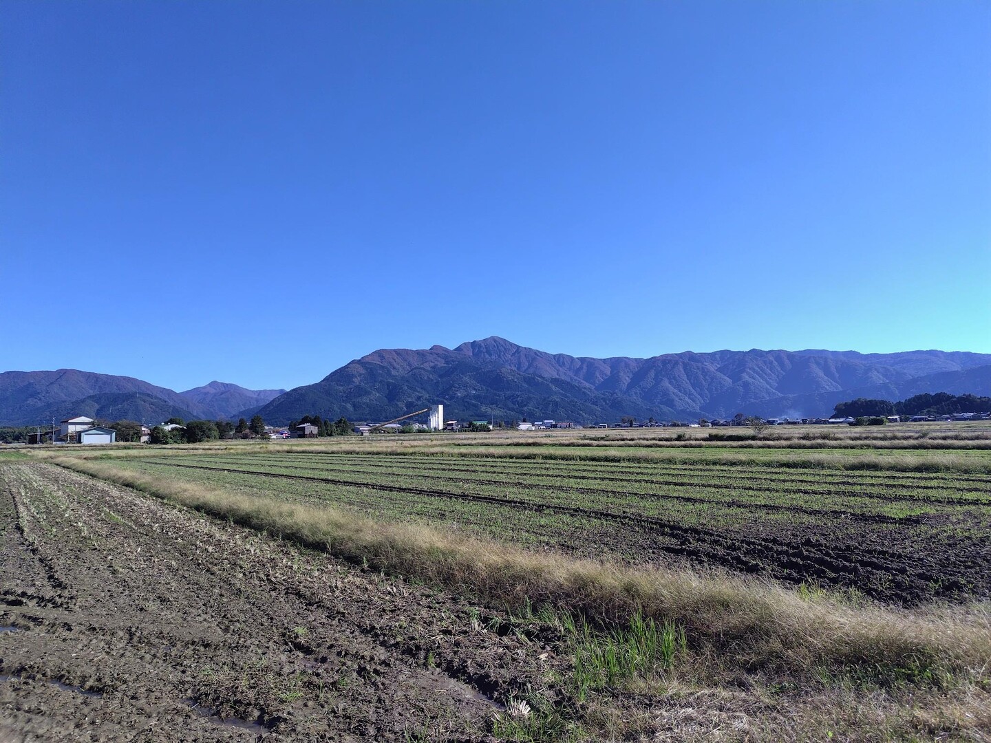 64th-masa-yamap