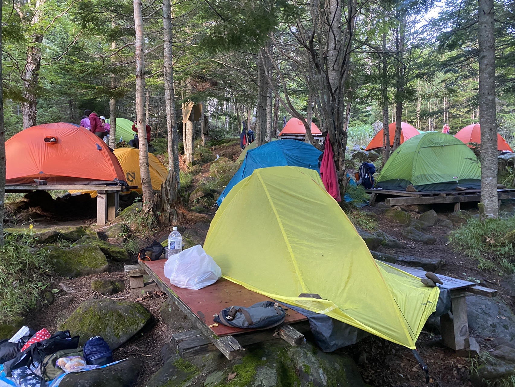 ニュウ 中山 白駒池 青苔荘テント泊 こけこけまったりツアー プラス 稲子湯 No 14 Kinakochocoさんの八ヶ岳 赤岳 硫黄岳 天狗岳 の活動日記 Yamap ヤマップ