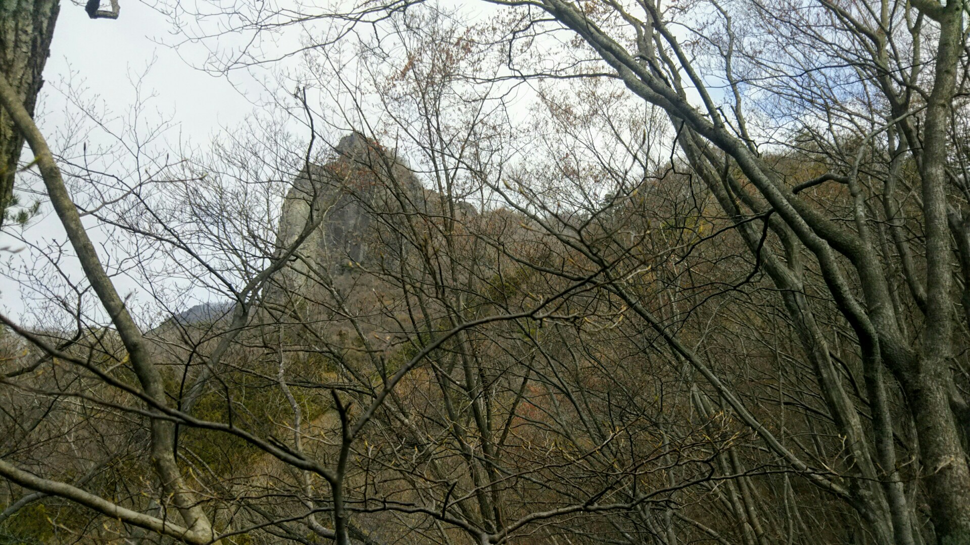 群馬県渋川市にある子持山ダメね Yuujiさんの子持山の活動日記 Yamap ヤマップ